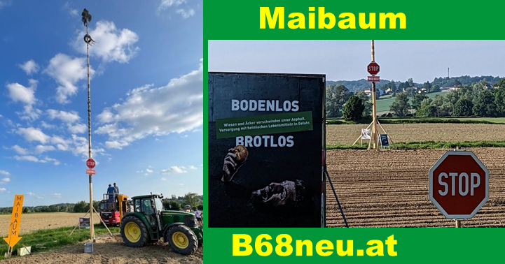 Protest-Maibaum